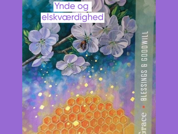 Gå indad og byg dig selv op