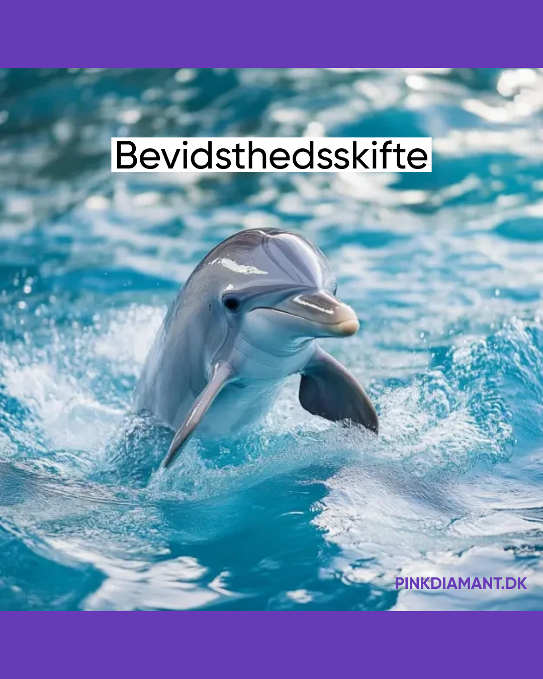 Bevidsthedsskifte