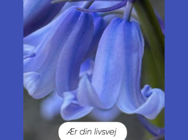 Når lyset vender tilbage 🌞