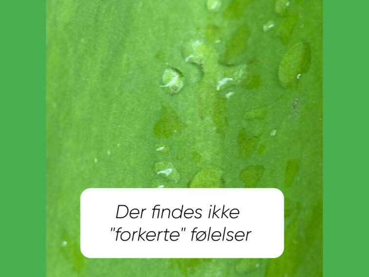Hav tillid til dig selv og din proces