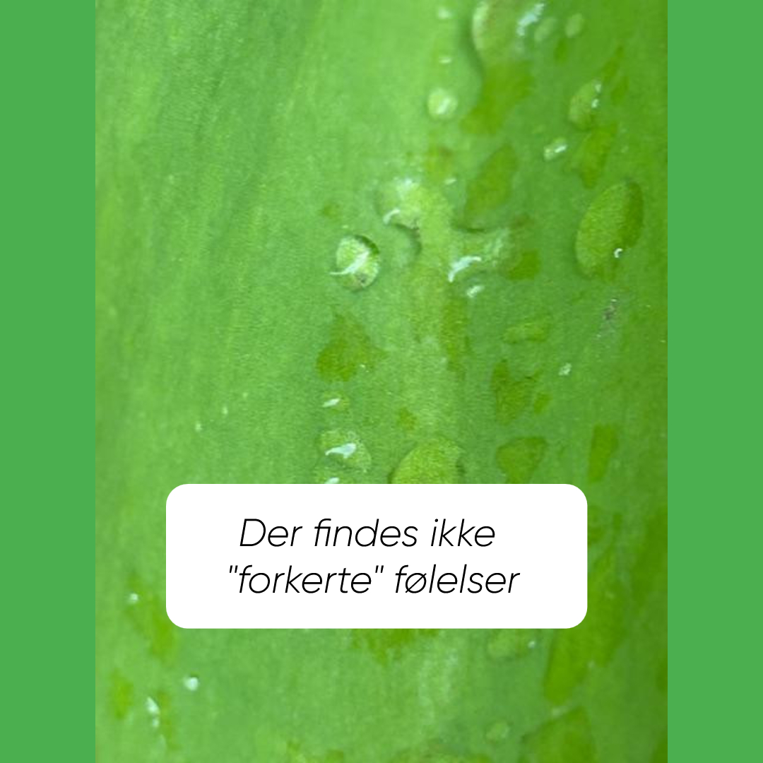 Om følelser