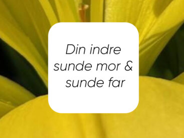Vi er sjæle, som har en menneskelig oplevelse