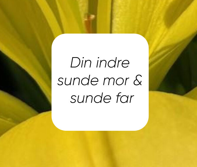 Hav tillid til dig selv og din proces