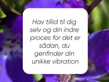 Der findes ikke ”forkerte” følelser