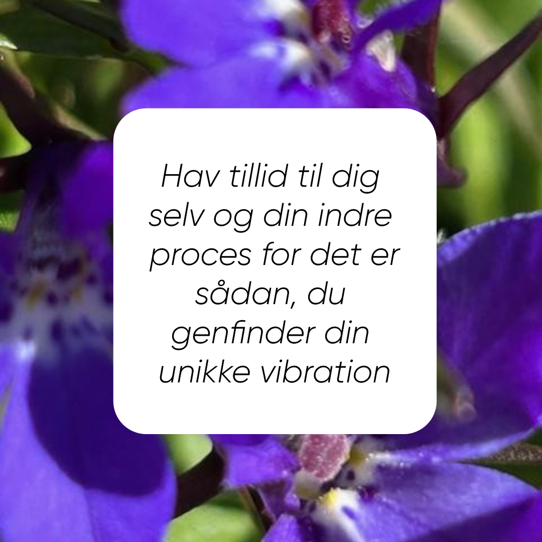 Din unikke vibration