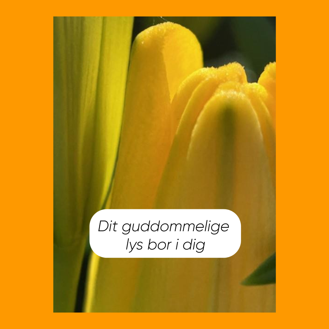 Dit guddommelige lys