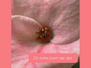 Kort om empaten og narcissisten ✨