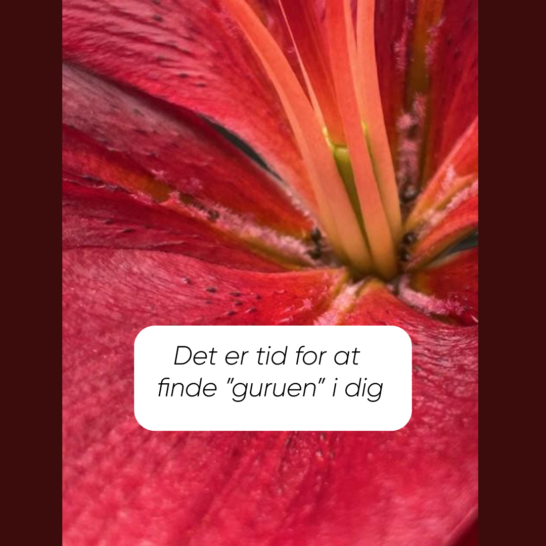 Find guruen i dig