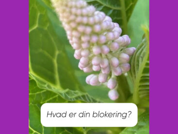 Om kærlighed 💗