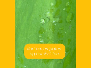 Dit indre barn ser det