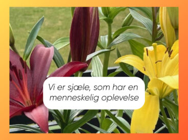 Din indre sunde mor & sunde far