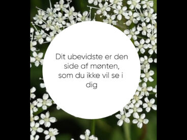 Vejen til vores lys 🌞 går gennem vores mørke