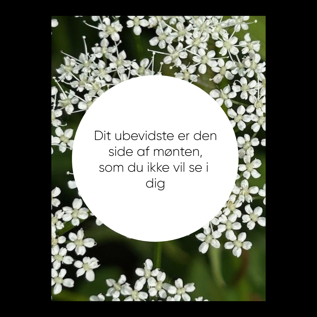 Det ubevidste