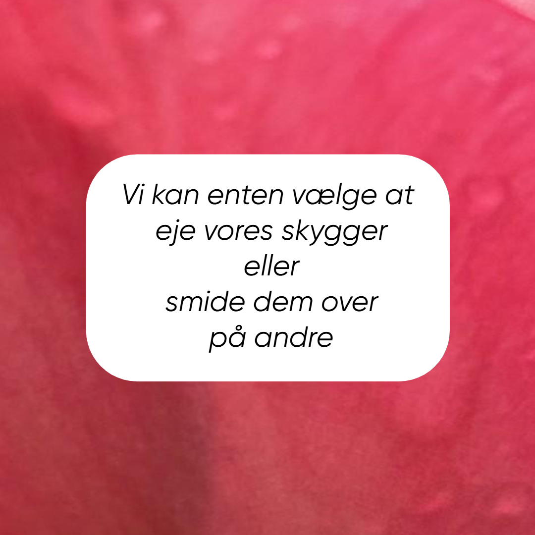 Tag skygger hjem