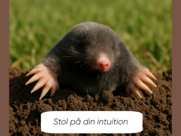 Intet er tilfældigt 💡