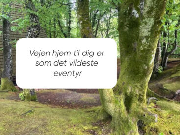 En gang gik jeg op i titler og succes