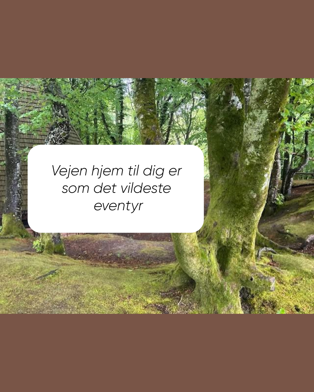 Vejen hjem til dig