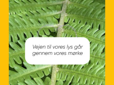 Dit ubevidste er den side af mønten, som du ikke vil se i dig
