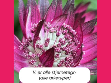 Alle livets “gaver” har værdi 💝