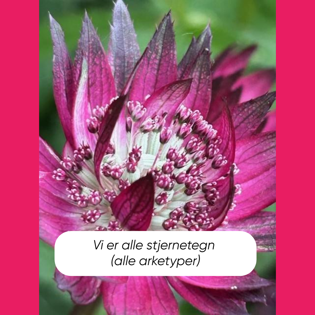 Vi er alle stjernetegn