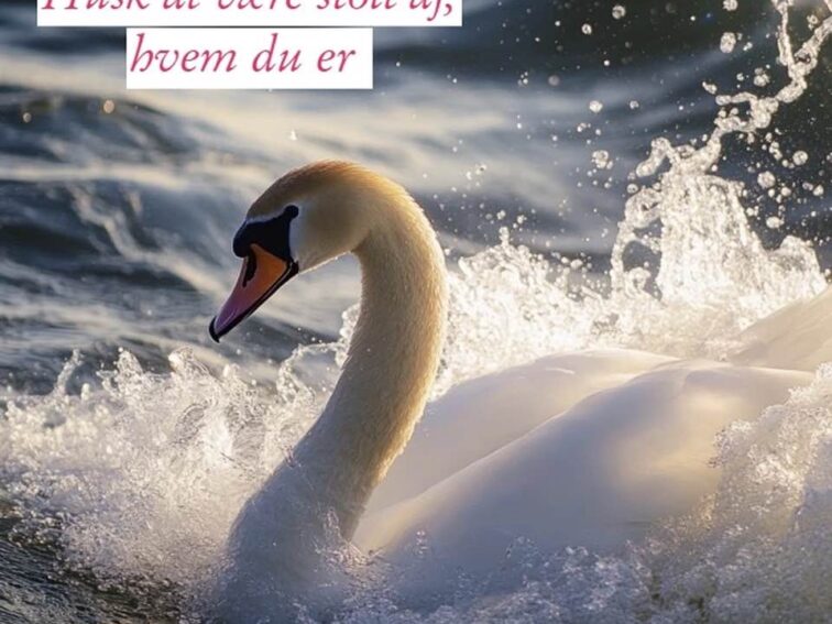 Den indre kærlighedsdans