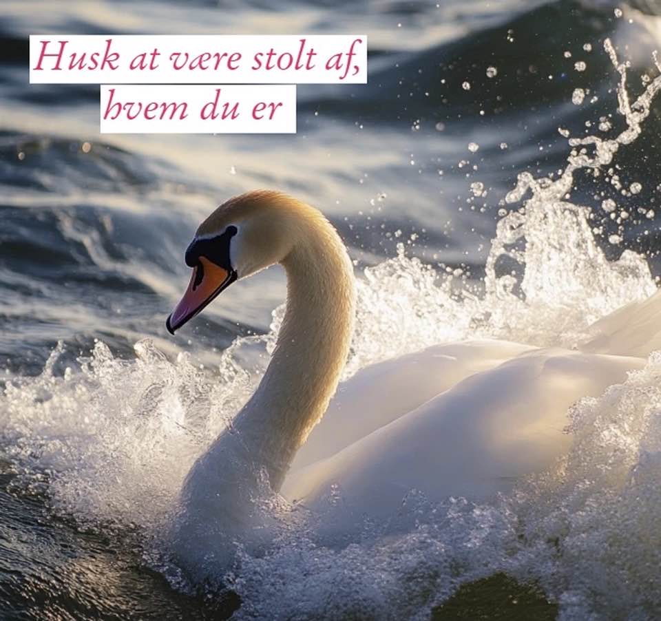 Vær stolt af hvem du er